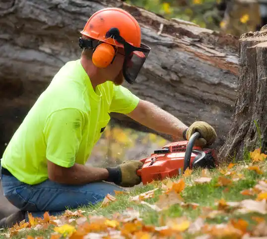 tree services Harlan